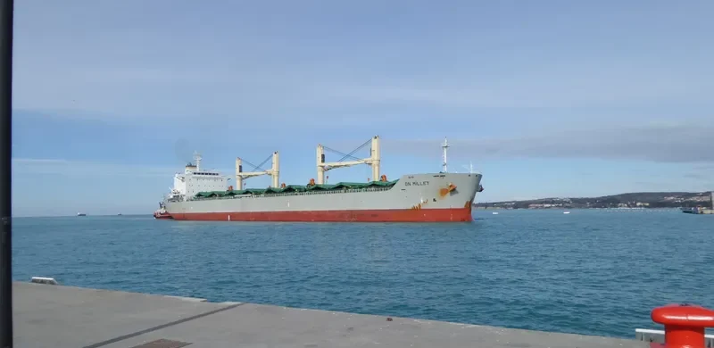 AMILLA Bulk Carrier IMO 9498561 photo 6
