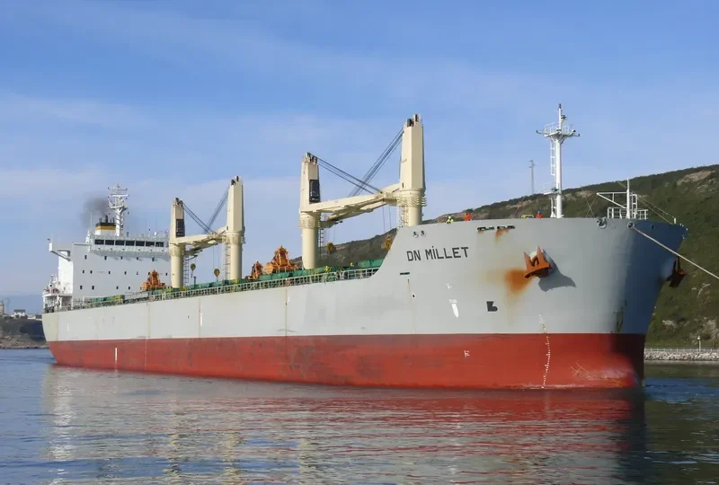 AMILLA Bulk Carrier IMO 9498561 photo 7