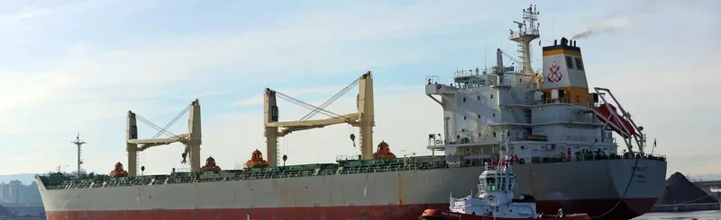 AMILLA Bulk Carrier IMO 9498561 photo 9