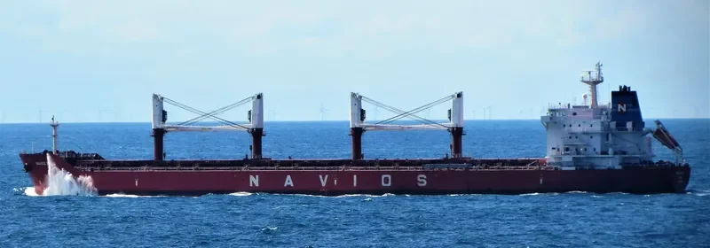 NAVIOS LYRA Bulk Carrier IMO 9498626 photo 3