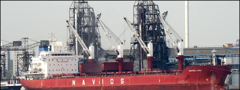 NAVIOS LYRA Bulk Carrier IMO 9498626 photo 7