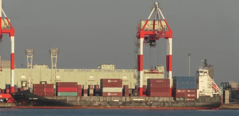PACIFIC QINGDAO Container Ship IMO 9498688 photo 3