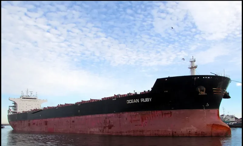 CAROLINE OLDENDORFF Bulk Carrier IMO 9498705 photo 4