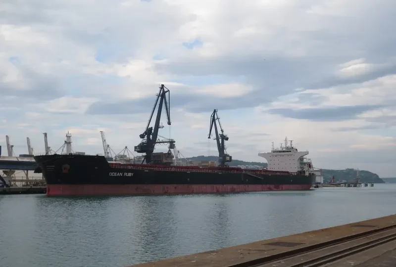 CAROLINE OLDENDORFF Bulk Carrier IMO 9498705 photo 6