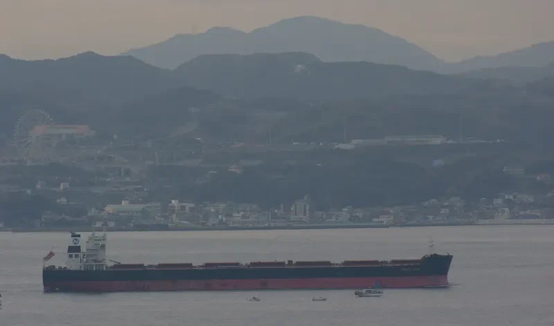 CAROLINE OLDENDORFF Bulk Carrier IMO 9498705 photo 7