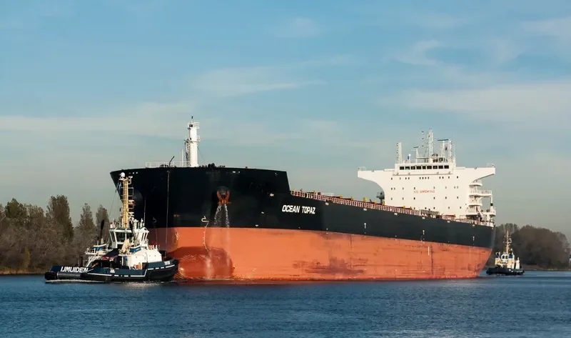 DE XIN CHANG HAI Bulk Carrier IMO 9498731 photo 4
