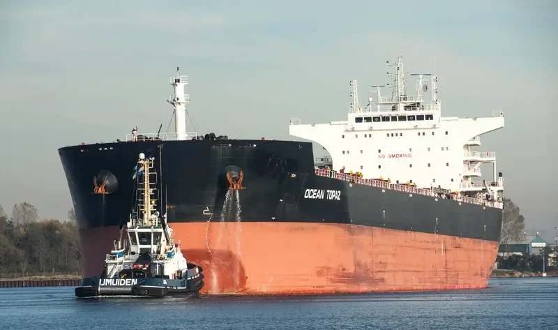 DE XIN CHANG HAI Bulk Carrier IMO 9498731 photo 5