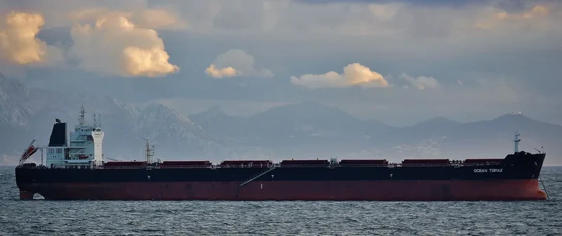 DE XIN CHANG HAI Bulk Carrier IMO 9498731 photo 9