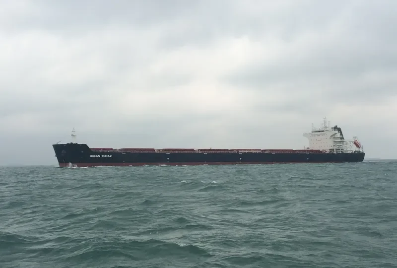 DE XIN CHANG HAI Bulk Carrier IMO 9498731 photo 10