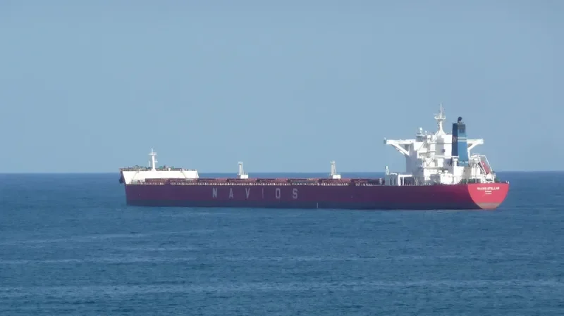 NAVIOS STELLAR Bulk Carrier IMO 9498781 photo 5