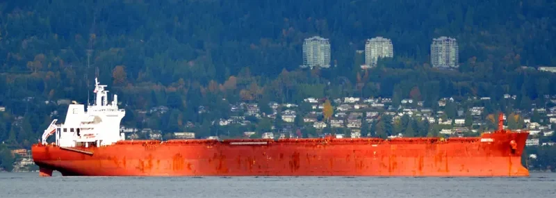 THASSOS WARRIOR Bulk Carrier IMO 9498810 photo 4