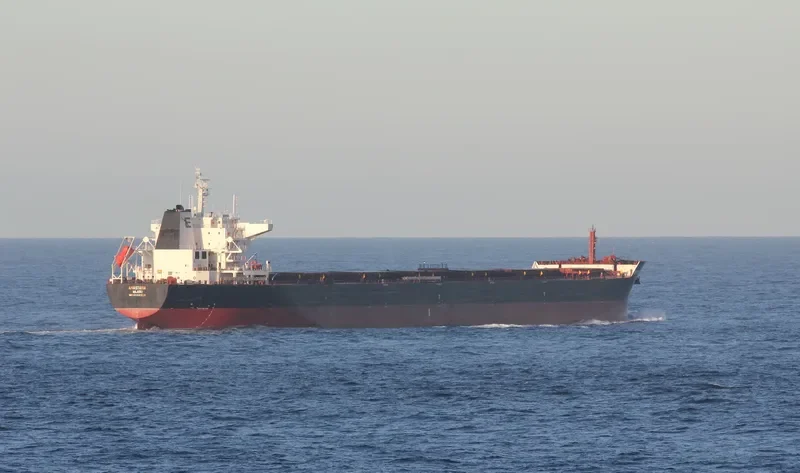 ANASTASIA Bulk Carrier IMO 9498822 photo 3