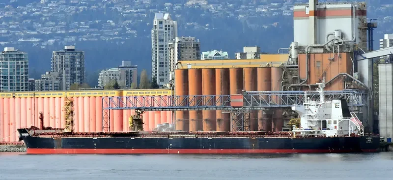 ANASTASIA Bulk Carrier IMO 9498822 photo 5