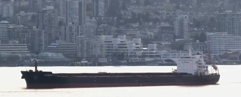 ANASTASIA Bulk Carrier IMO 9498822 photo 6