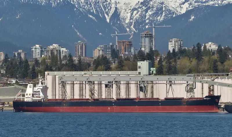 ANASTASIA Bulk Carrier IMO 9498822 photo 7
