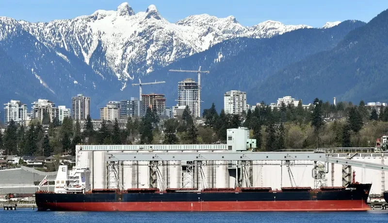 ANASTASIA Bulk Carrier IMO 9498822 photo 8