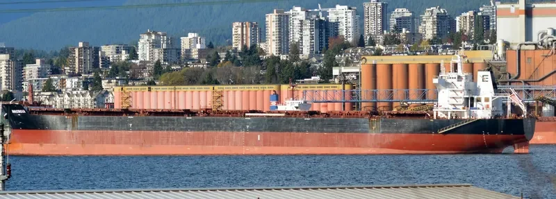 ANASTASIA Bulk Carrier IMO 9498822 photo 9