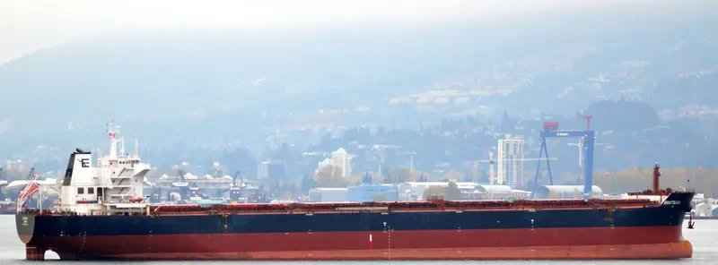 ANASTASIA Bulk Carrier IMO 9498822 photo 10