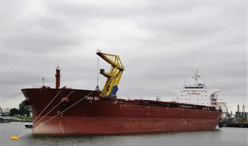 CORNELIE OLDENDORFF Bulk Carrier IMO 9498846