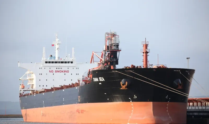 CORNELIE OLDENDORFF Bulk Carrier IMO 9498846 photo 6
