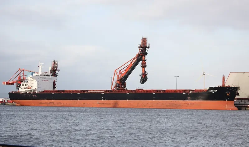 CORNELIE OLDENDORFF Bulk Carrier IMO 9498846 photo 7