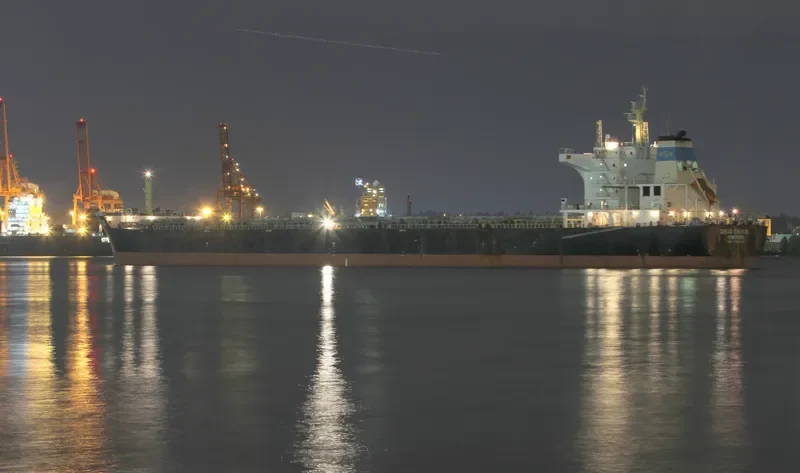 SHUN CHANG Bulk Carrier IMO 9498860