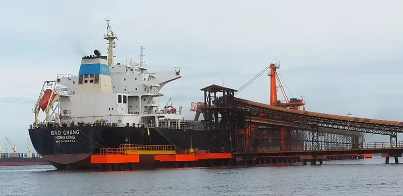 SHUN CHANG Bulk Carrier IMO 9498860 photo 3