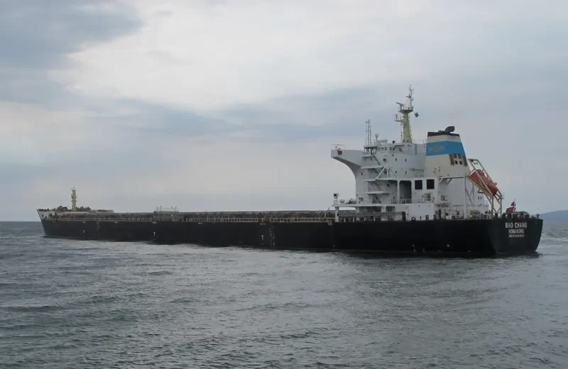 SHUN CHANG Bulk Carrier IMO 9498860 photo 7