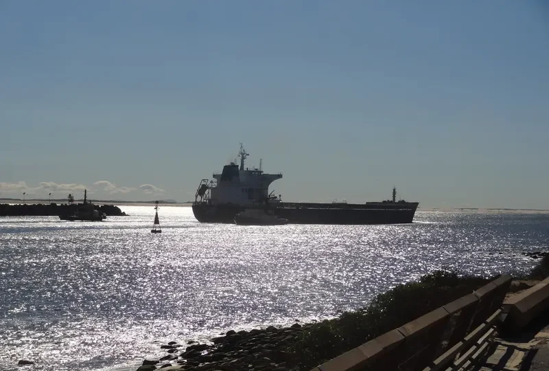 SHUN CHANG Bulk Carrier IMO 9498860 photo 8