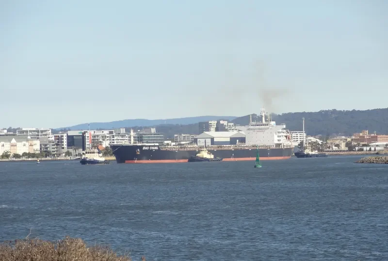 SHUN CHANG Bulk Carrier IMO 9498860 photo 9