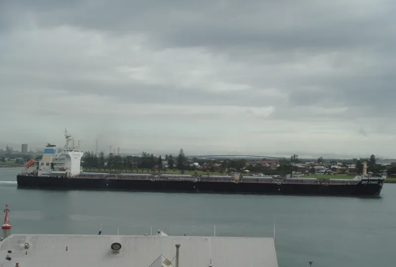SHUN CHANG Bulk Carrier IMO 9498860 photo 10