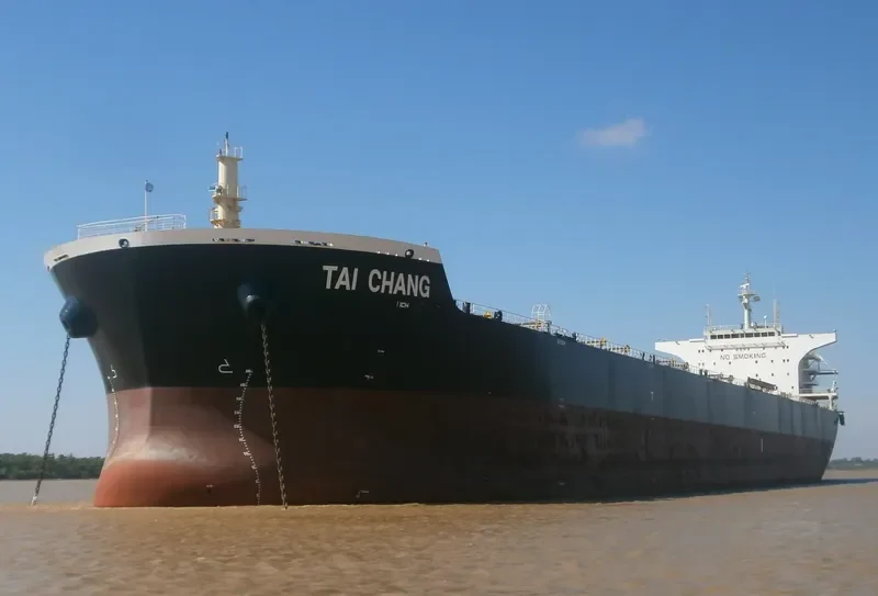 TAI CHANG Bulk Carrier IMO 9498872 photo 3