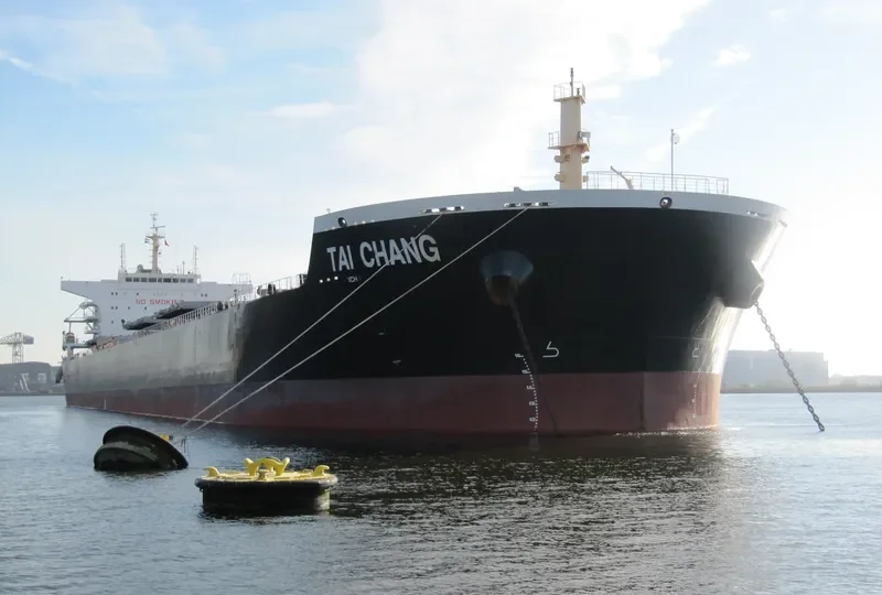 TAI CHANG Bulk Carrier IMO 9498872 photo 5