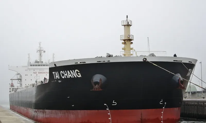TAI CHANG Bulk Carrier IMO 9498872 photo 6