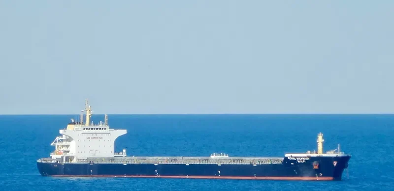ALBERT OLDENDORFF Bulk Carrier IMO 9498896 photo 6