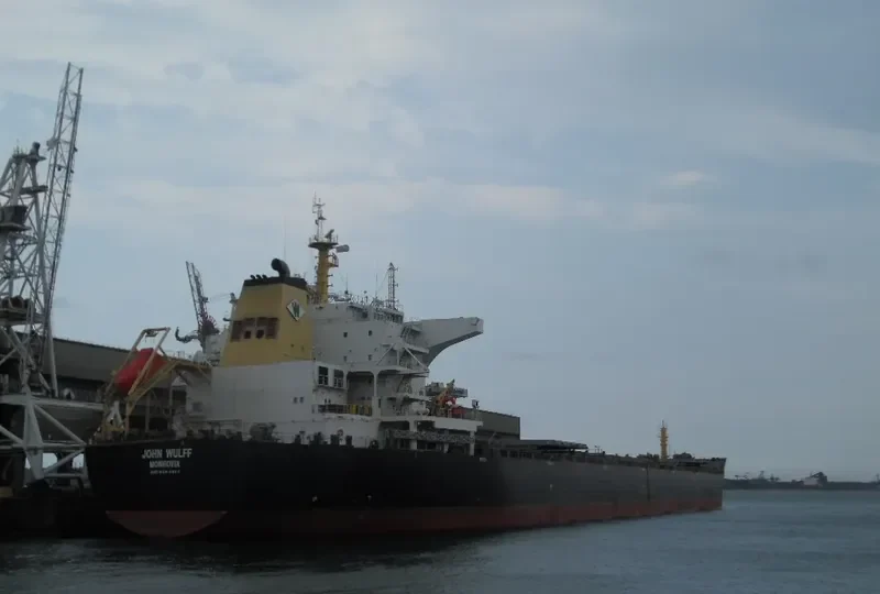 THALIA Bulk Carrier IMO 9498901 photo 5