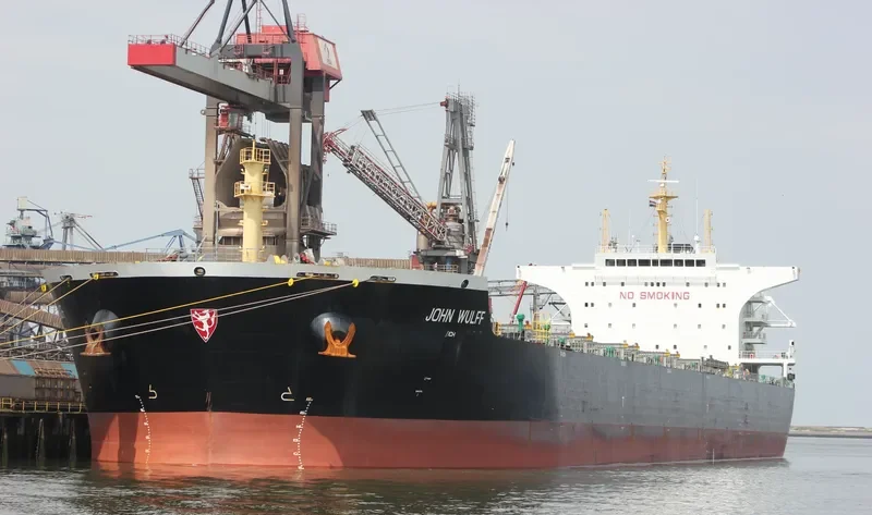 THALIA Bulk Carrier IMO 9498901 photo 6