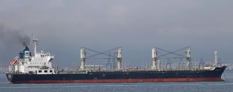SEAGLASS II Bulk Carrier IMO 9498925