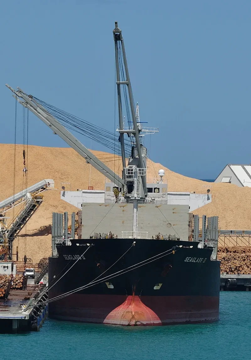 SEAGLASS II Bulk Carrier IMO 9498925 photo 6