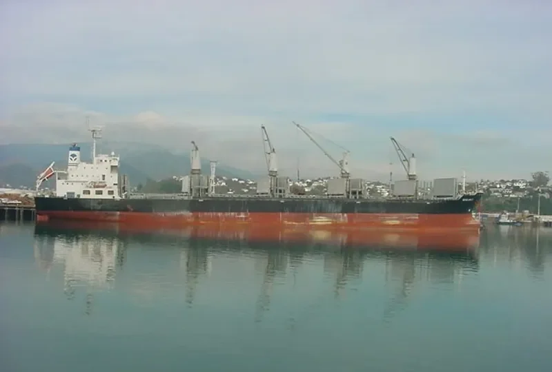 SEAGLASS II Bulk Carrier IMO 9498925 photo 8