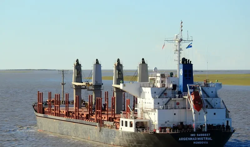 ARGENMAR MISTRAL Bulk Carrier IMO 9498937 photo 2