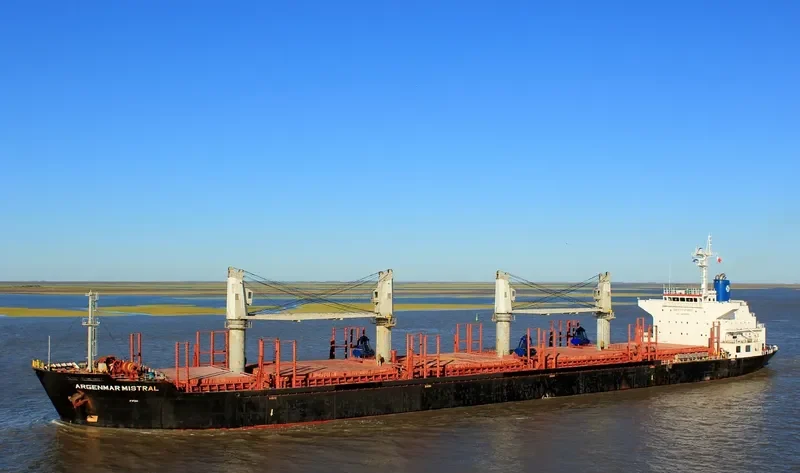 ARGENMAR MISTRAL Bulk Carrier IMO 9498937 photo 4