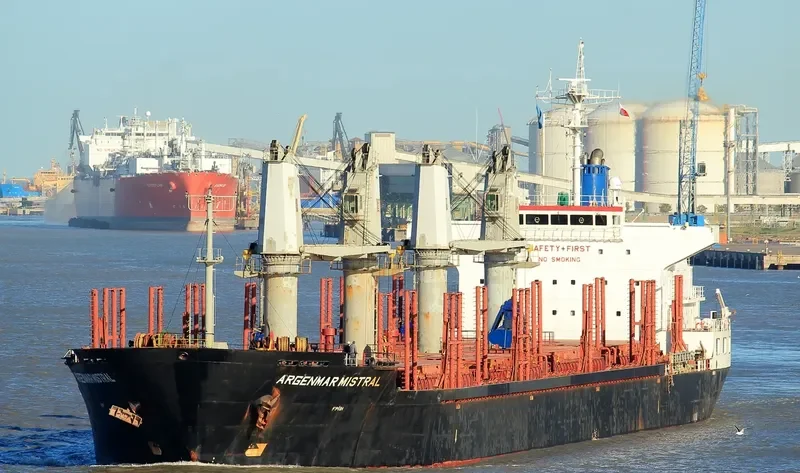 ARGENMAR MISTRAL Bulk Carrier IMO 9498937 photo 5