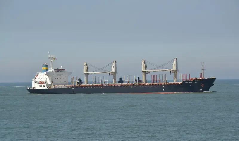 ARGENMAR MISTRAL Bulk Carrier IMO 9498937 photo 9