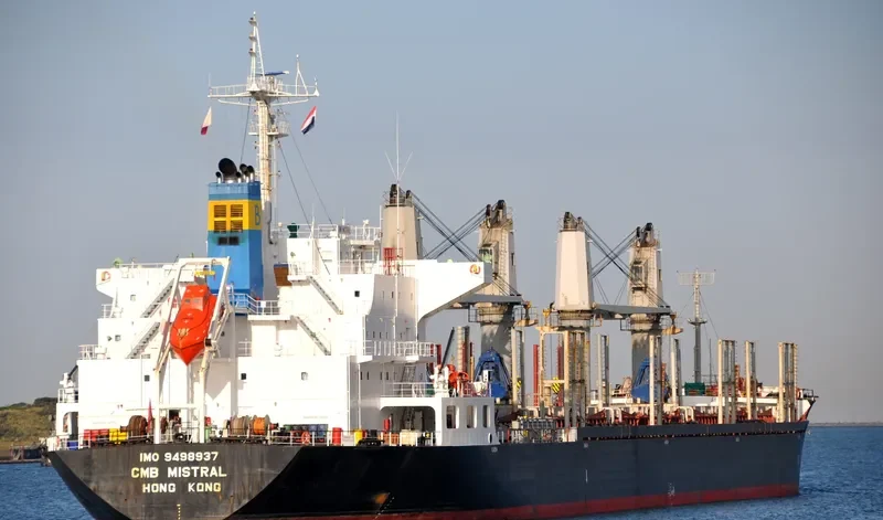 ARGENMAR MISTRAL Bulk Carrier IMO 9498937 photo 10