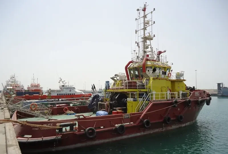 PACIFIC VORTEX General Cargo IMO 9499204 photo 2