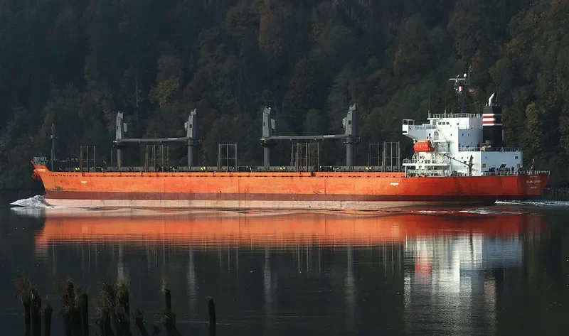 LADY MARGARET Bulk Carrier IMO 9499424 photo 2