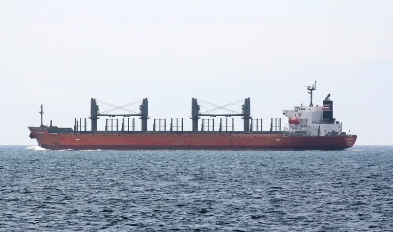 LADY MARGARET Bulk Carrier IMO 9499424 photo 4