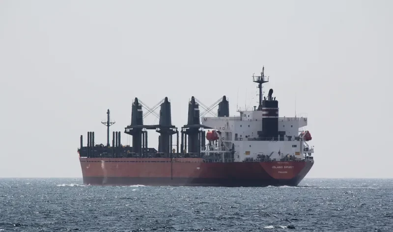 LADY MARGARET Bulk Carrier IMO 9499424 photo 5