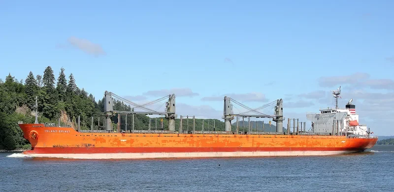 LADY MARGARET Bulk Carrier IMO 9499424 photo 8